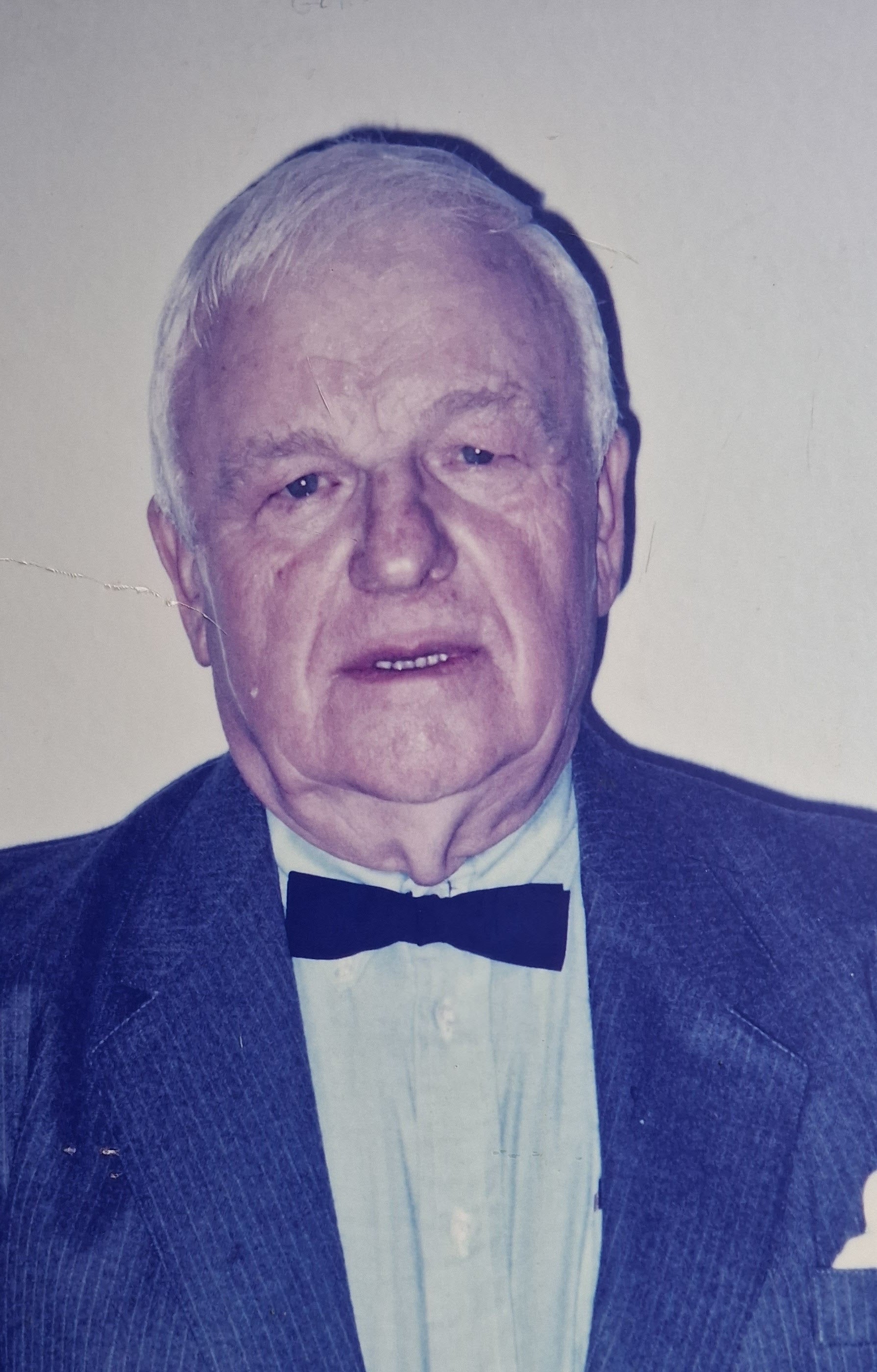 Image de l'avis Domenico Gorella