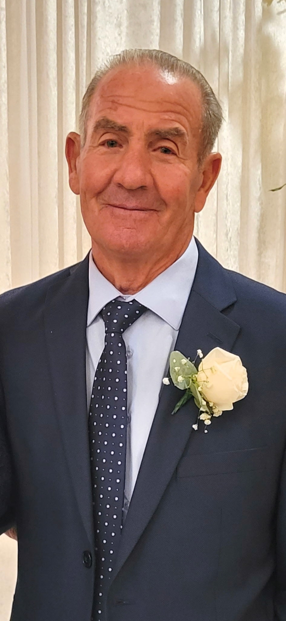 Image de l'avis Donato D'Amico
